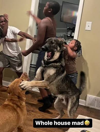 whole house mad