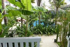Restons dans le thème avec ce superbe projet de terrasse qui a également. Jardin Luxuriant Picture Of Villa Nanda Siem Reap Tripadvisor