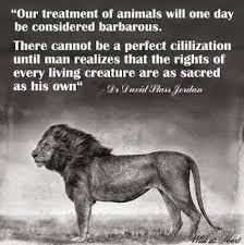 Google Animal Rights Animal Quotes Stop Animal Cruelty