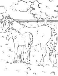 Kleurplaat paard download gratis paarden kleurplaten. Kleurplaat Shetlander