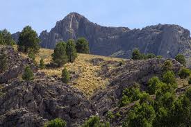 Invita a través de la amabilidad del lugareño; File Sierra De La Ventana Soleado Jpg Wikipedia
