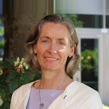 Offshore Observations