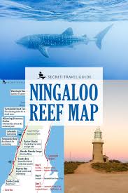 7 Days In Western Australia From Perth To Exmouth Secret Travel Guide Western Australia Travel Australian Road Trip Australia Travel