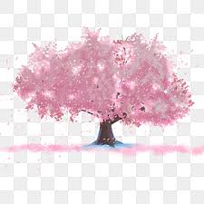 712x950 drawn branch dry tree. Cherry Blossom Tree Png Images Vector And Psd Files Free Download On Pngtree