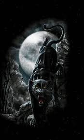 Daniel Machowski (dani3251973)