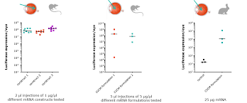 Ingmar hoerr, founder and ceo of curevac gmbh, made an unusual curevac is developing a new class of therapeutics based on mrna for cancer immunotherapy and. Tm2016252 19 F1a Block 45 3203415s