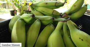 Nga disiasat di bawah kanun keseksaan & akta hasutan. Pekebun Terlepas Hukuman Gantung Selepas Dituduh Membunuh Pencuri Pisang Di Kebunnya