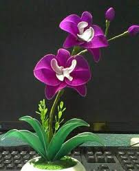 Penggunaan kapas sebagai bahan baku pembuat pakaian ditemukan di india. Facebook