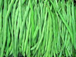 Plants produce heavily if harvested diligently. Pole Bean Kentucky Wonder 65 Days American Seed Co