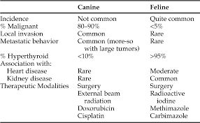 Once diagnosed, your veterinarian will discuss the treatment thyroid disease in dogs requires medical treatment from a veterinarian. Canine Thyroid Tumors And Hyperthyroidism Veterian Key