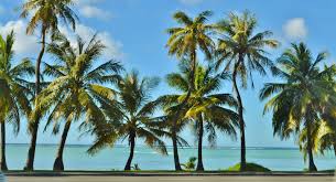 San diego beach cabin rentals. San Diego Vacation Rentals Beach And Waterfront Condo Rental