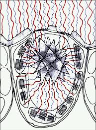 Maybe you would like to learn more about one of these? Don T Underestimate The Druse Aob Blog