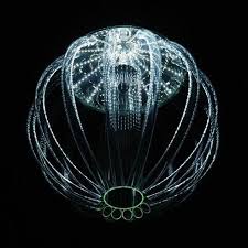 Green Design Deep Sea Creatures Ocean Creatures Beautiful Sea Creatures