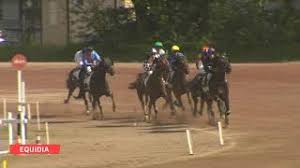 Attention à hyssouney, engagé au plafond des gains après une quatrième place à toulouse, et à hermano trunois, deuxième à toulouse début février. La Video Du Grand National Du Trot Paris Turf Course Pmu Du Mercredi 19 Juin 2019 Reims