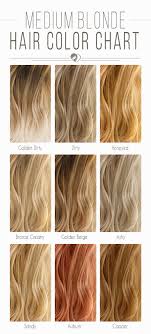 Hair Color 2017 2018 Medium Blonde Hair Color Chart