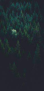Telegram Apply Chat Background Iphone Wallpaper Iphone Backgrounds Nature Best Iphone Wallpapers
