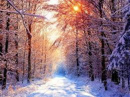 Winter Achtergronden Bureaublad Achtergronden Achtergronden Achtergrond Bureaublad Prachtige Natuur