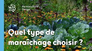 jerome boisneau maraicher en permaculture depuis plus de 8 ans explique les differents types de maraichages exista permaculture permaculture design maraicher
