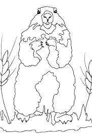 The original format for whitepages was a p. Coloring Page A Groundhog Is Looking Out Of Its Burrow Online