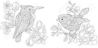 Vector ethnic pattern can be used for wallpaper, pattern fills, coloring books and pages for kids and adults. Coloring Pages Coloring Book For Adults Colouring Pictures Royalty Free Cliparts Vectors And Stock Illustration Image 109148383