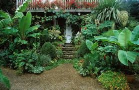 Tropical Garden In Norwich Tropical Plants Tropical Garden Plants