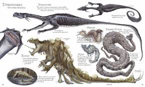 Star Wars Star Wars Characters Pictures Star Wars Artwork Creature Concept Art