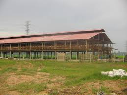 Kandang kambing bajet untuk pemula.kos keseluruhan adalah rm1500 untuk kandang berkeluasan 7kaki x 14 kaki. November 2007 Myternak S Serama Kedah