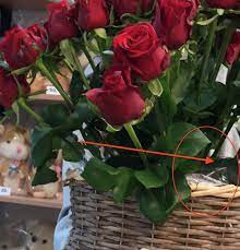 Hold bunch flowers upside down / dried flowers are back. Carrying Flowers Upside Down Flower