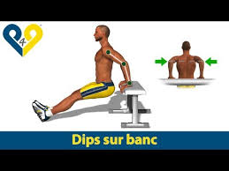 Dips Sur Banc Youtube Entrenamiento De Triceps Ejercicios Ejercicios Para Brazos