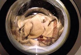 Add detergent with 450 ml of chlorine bleach and. Is It Possible To Wash A Camel Hair Blanket In A Washing Machine