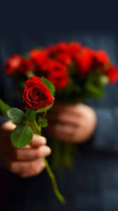 Voici Un Bouquet De Roses Pour Toi Belles Fleurs Roses Rouges Fleurs Odorantes
