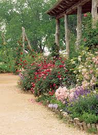 Today i went to a local gardening store. Landscaping With Antique Roses Finegardening