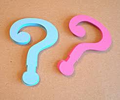 30 Question Mark Cutouts Gender Reveal Party Decor Pink And Blue On Etsy 4 00 Baby Gender Reveal Party Gender Reveal Party Decorations Gender Reveal Party