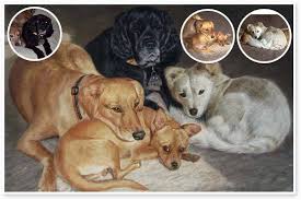 Commission fiona purdy for a custom portrait of your dog from photos. Dog Portraits On Canvas Dog Painting