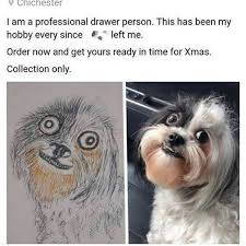 Im Still Laughing O M G Ya Definitely Not A Professional Speller Though W T F Are Those Things Before Left Me Dog Portraits Funny Pictures Bad Dog