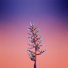 Pin On Ios 11 Wallpapers For Iphone