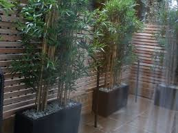 Homescapes artificial flowers · trusted british brand · excellent 5 star trustscore Outdoor Artificial Plants London Planters