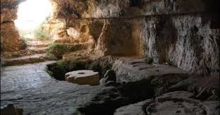 The Winepress Of His Wrath Ancient Wine Ancient Oils Ancient
