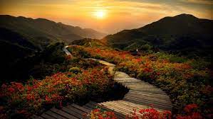 dawei mountain hunan 湖南大围山 via discover hunan amazing places on earth beautiful places hunan