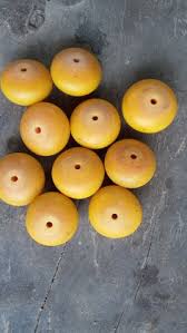 The foot of a camel is made up of a large leathery pad, with two toes at the front, the bones of which are embedded in the. 100 Ghana Beads Ideas Beads Cat Sanctuary Handmade African