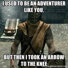 I Used To Be An Adventurer Like You But Then I Took An Arrow To The Knee Said Every Skyrim Guard Ever