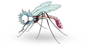 10 Tina S Mosquitos Ideas Mosquito Cartoon Mosquito Cartoon Well you're in luck, because here they come. 10 tina s mosquitos ideas mosquito