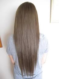 Evalamhair S Image Hair Styles Light Brown Hair Dark Blonde Hair