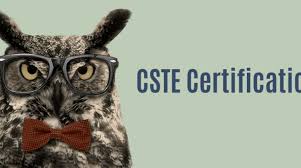 Novels, thriller, poems, fantasy…all literature genres available. How To Get Cste Certification Qatestlab Blog