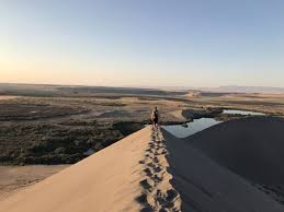 Maybe you would like to learn more about one of these? Bruneau Dunes State Park 76 Photos 24 Reviews Parks 27608 Sand Dunes Rd Mountain Home Id United States Phone Number