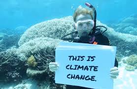 But those that survived are a genetic. How Climate Change Impacts The Great Barrier Reef Tourism Industry New Scientist