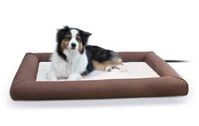 It has an internal thermostat to keep the temperature at a desirable 102 degrees. The Best Heated Dog Beds Review In 2021 My Pet Needs That