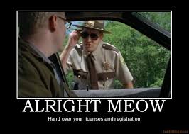 The infamous shenanigans scene from super troopers. Quotes About Super Troopers 28 Quotes