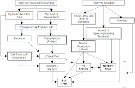 Circumstantial Decision Making Charts Decision Making Flowchart