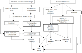 circumstantial decision making charts decision making flowchart